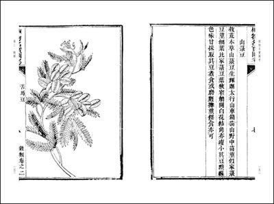 “BJL平台”2018年6月开始,这五类村民将会被禁止盖房!(图1) BJL平台