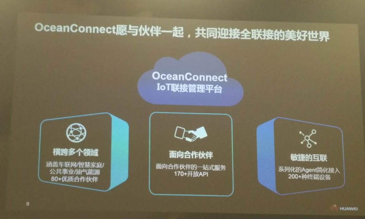 福建省第一个地理标志行业专业协会成立-BJL平台