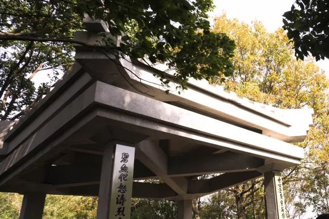 厉害了!方硕带队战胜福建 用实力强劲的对手_BJL平台集团(图4) BJL平台集团