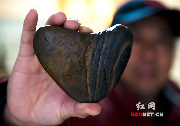 冬枣什么时候上市?价格多少钱一斤?最新冬枣产区价格_BJL平台(图2) BJL平台集团