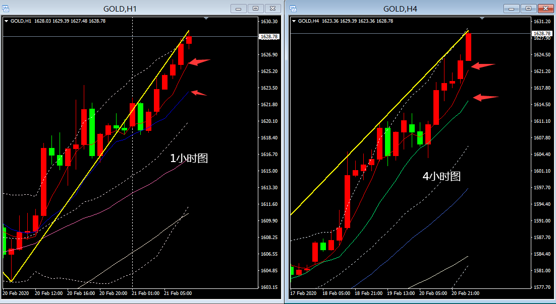 冬枣什么时候上市？价格多少钱一斤？最新冬枣产区价格_BJL平台