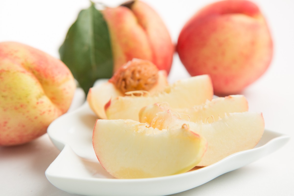 单节16分!张骋宇打满全场!全场三分表现惊人“BJL平台”(图1) BJL平台