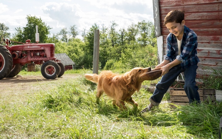 西藏林芝市波密县发生4.1级地震 震源深度7千米-BJL平台(图3) BJL平台集团