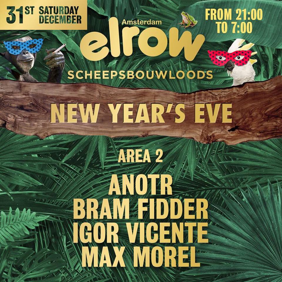 【BJL平台】水仙花价格多少钱一棵?水仙花的养殖方法和注意事项