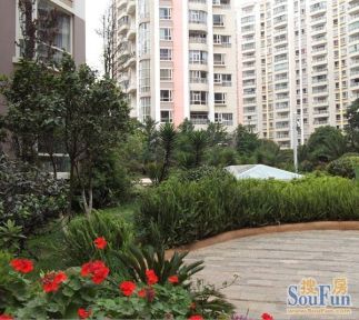 BJL平台-多种新冠疫苗进入最后试验,定价不超40美元?(图1) BJL平台