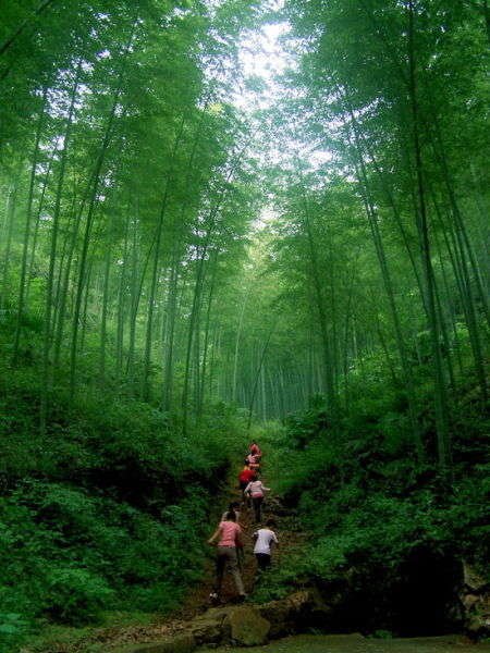 【BJL平台】加盟七可苗家酸菜鱼怎么样(图3) BJL平台集团