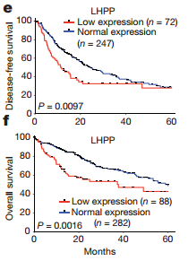 【BJL平台集团】
汪峰放言“一个都不能少” 向媒体求助带“小耳朵”进京治疗(图1) BJL平台