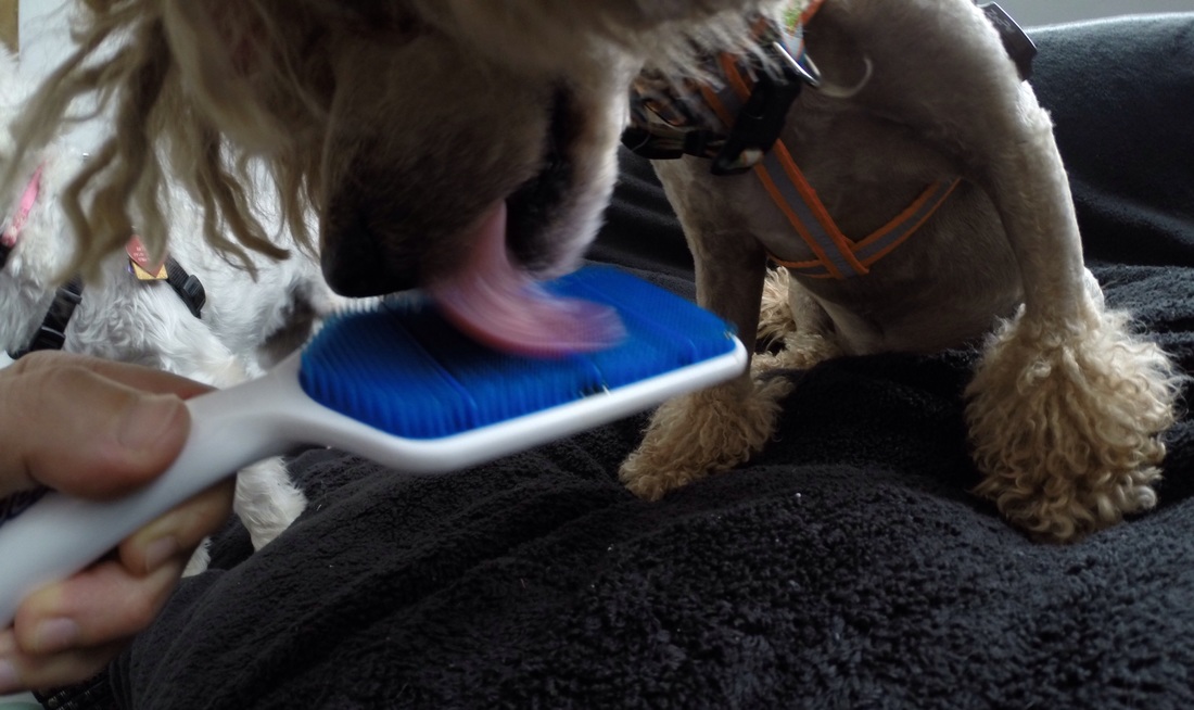 习近平卡梅伦赴酒吧小酌吃炸鱼薯条赞VeryGood|BJL平台(图1) BJL平台