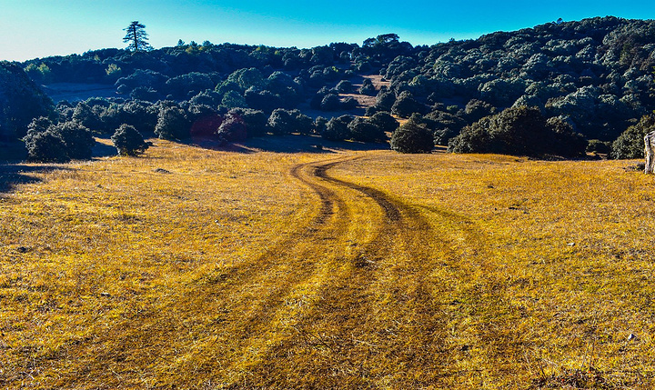 BJL平台集团:90后厨师“喊菜”哥走红,17秒视频花3小时准备(图2) BJL平台