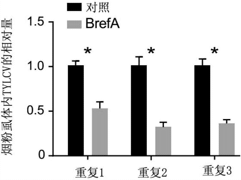 “BJL平台”哀悼!“大先生”李吉均院士逝世(图3) BJL平台集团