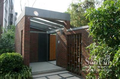 BJL平台|娃娃鱼野生多少钱一斤?娃娃鱼野生与人工养殖的区别(图4) BJL平台集团