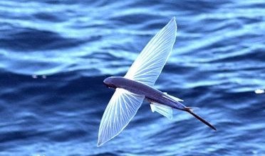 【BJL平台】他的餐厅带火一条街,开出16家直营店(图1) BJL平台集团