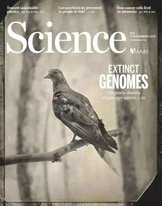 BJL平台集团|美初请人数意外反弹经济复苏或已停滞 欧股收盘涨跌互现(图1) BJL平台