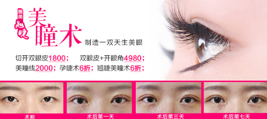 如何精心料理使家庭盆栽菊花更长寿【BJL平台集团】(图2) BJL平台