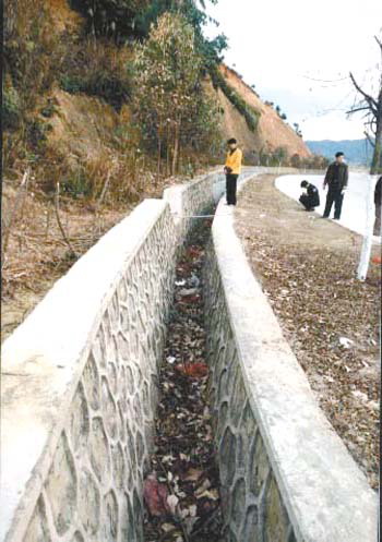 种业人眼里不能只盯着产量:BJL平台集团(图1) BJL平台集团