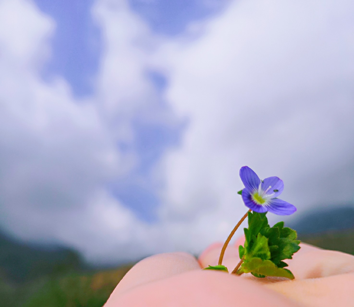 BJL平台|雅堂小超携手饿了么蜂鸟着力抢占“智能零售”即时配送先机(图1) BJL平台