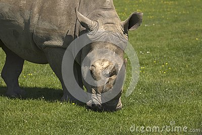 BJL平台集团|在线就餐与远程餐厅在国外兴起(图2) BJL平台