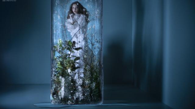 “BJL平台”2017亚洲杯澳洲擒伊朗夺冠 韩国胜新西兰获季军(图2) BJL平台