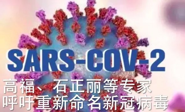 “BJL平台集团”广东东莞银行105:93战胜辽宁盼盼 取得7连胜(图1) BJL平台