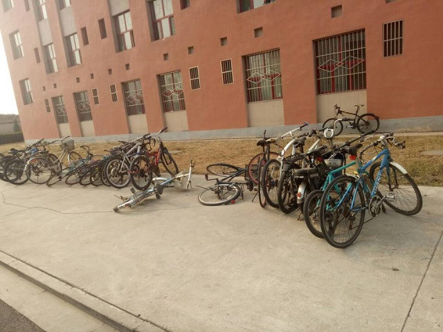 BJL平台集团:林园:现在A股市场正处于牛市初期阶段(图3) BJL平台