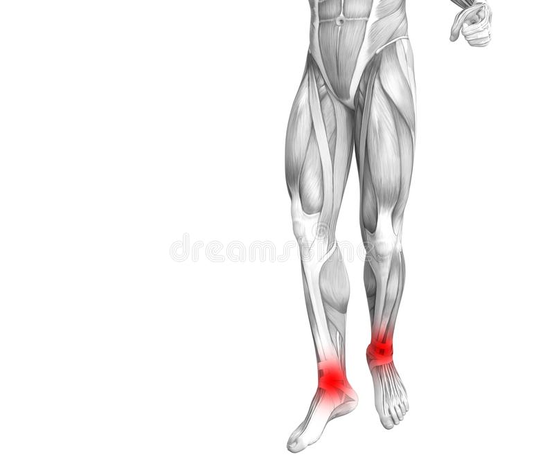 BJL平台|炭鱻烤鱼,受到广大食客的追捧(图4) BJL平台