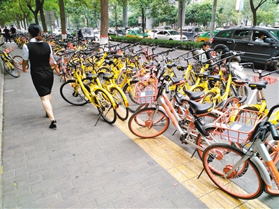 “BJL平台”年前大蒜价格走势如何?今日全国各地大蒜收购价汇总(图4) BJL平台