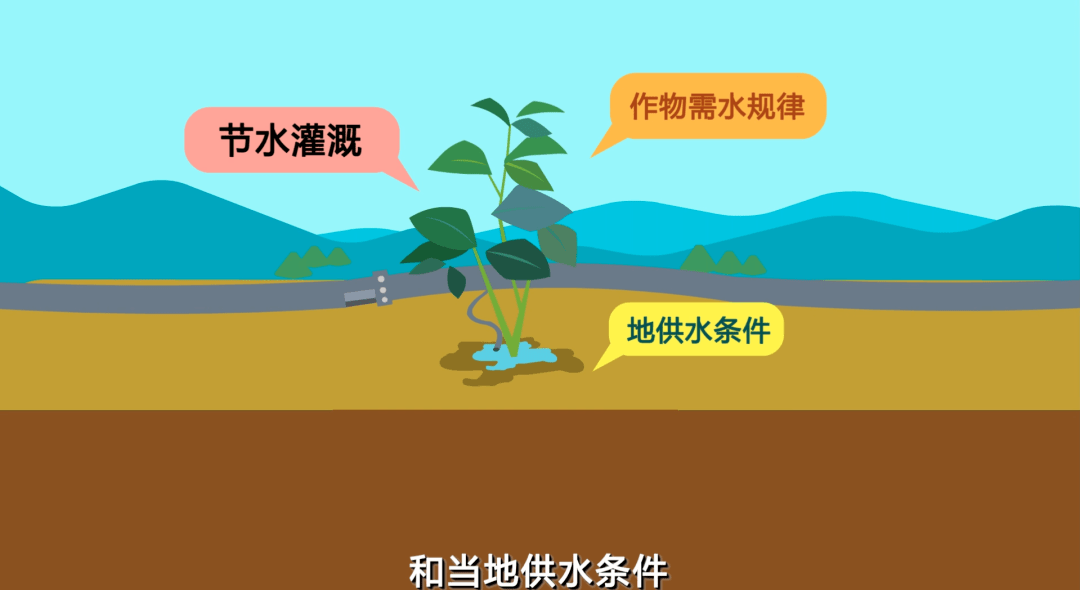 
环保科普“BJL平台”(图7)