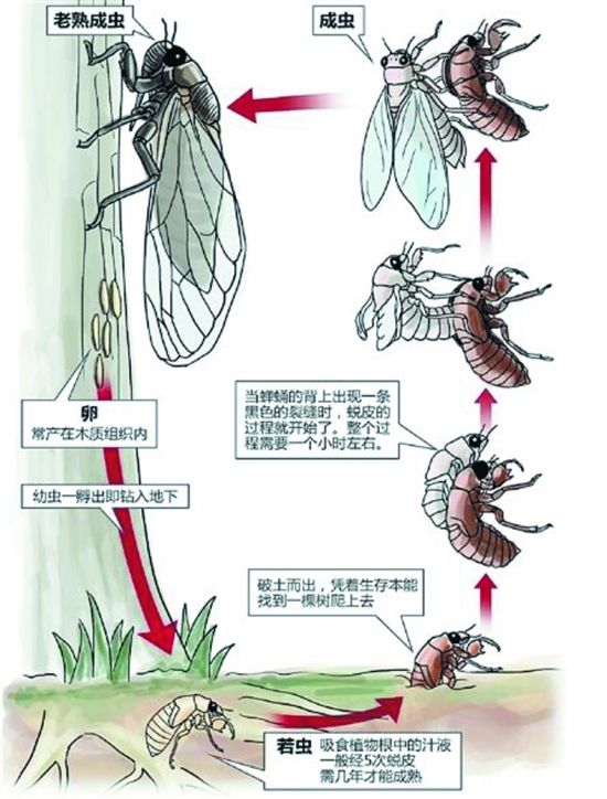 香港市民为遭受洪灾同胞录视频打气_BJL平台集团(图1) BJL平台集团